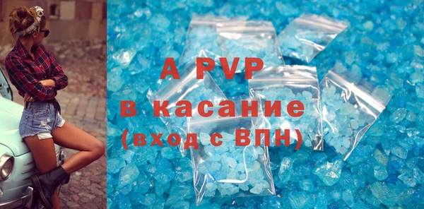 крисы Козельск