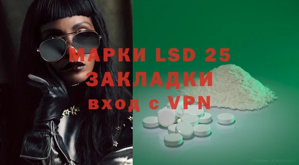 крисы Козельск