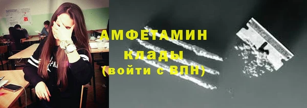 крисы Козельск