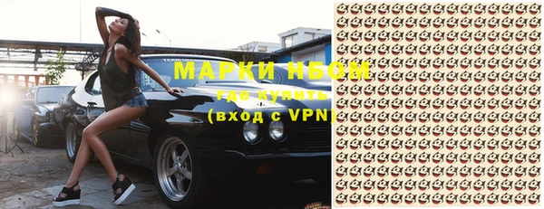крисы Козельск