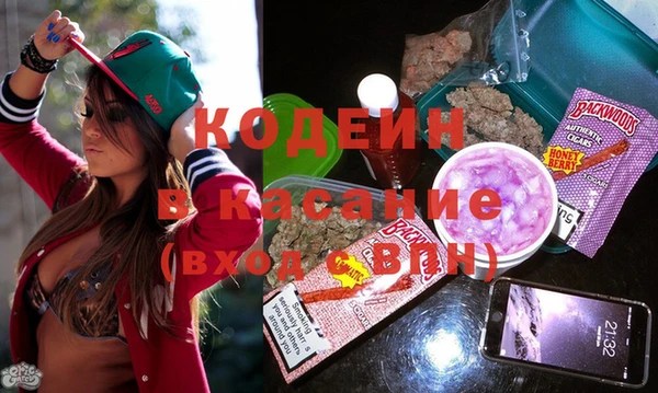 крисы Козельск