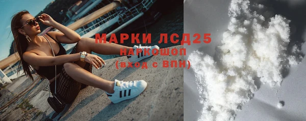 крисы Козельск